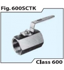 Van bi - 600SCTK